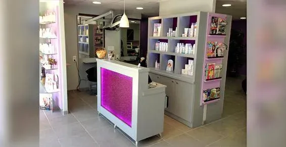 le salon (12)